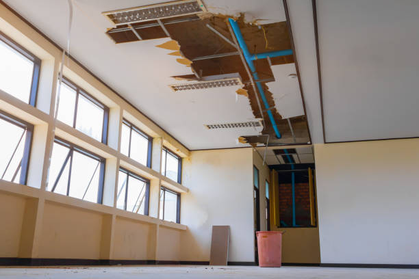 Best Water damage restoration near me  in Combee Settlement, FL