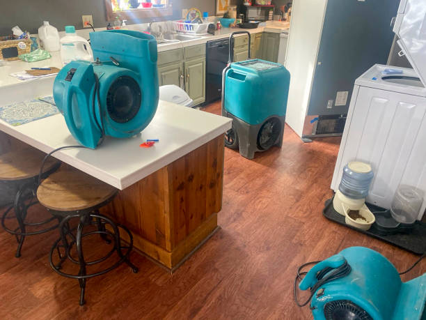 Best Water damage restoration specialists  in Combee Settlement, FL