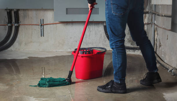 Best Water damage mitigation services  in Combee Settlement, FL