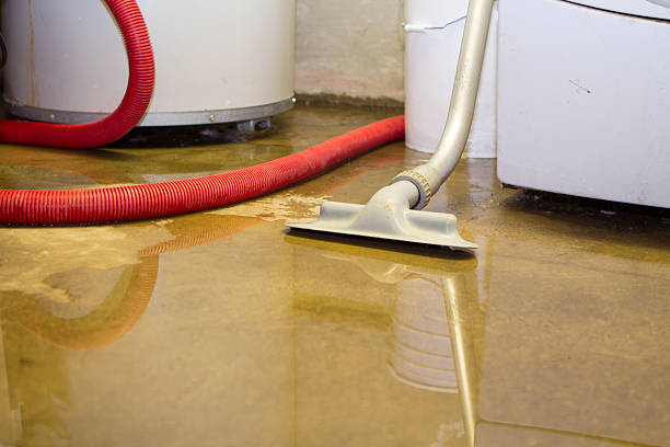  Combee Settlement, FL Water damage restoration Pros
