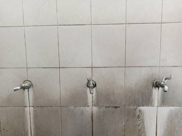 Best Mold removal after water damage  in Combee Settlement, FL
