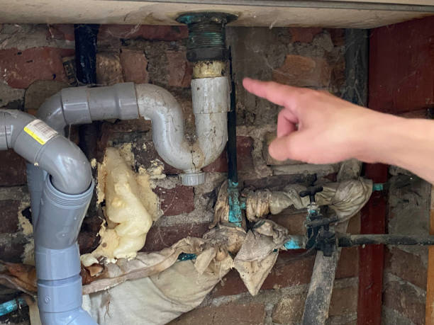 Best Mold removal after water damage  in Combee Settlement, FL