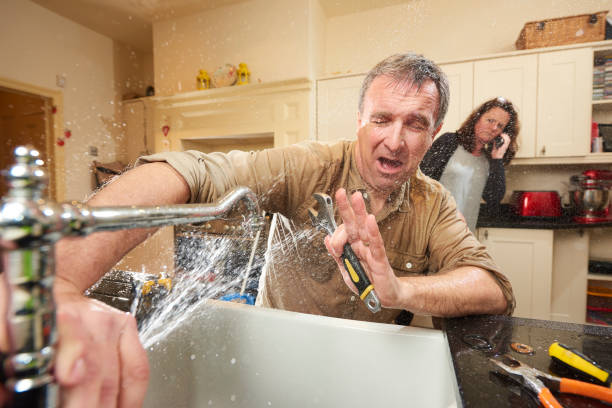Best Carpet water damage restoration  in Combee Settlement, FL